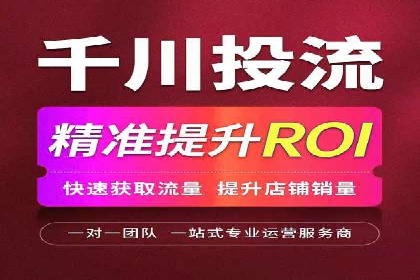竞价端口开户后的广告投放策略案例